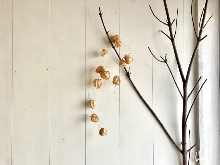 教育者 Meets アーティスト「秋元 さなえ×川田 由紀」（第3話）つくりながら、動かしながら、何かが生まれていくということ。